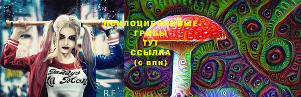 марки lsd Краснослободск